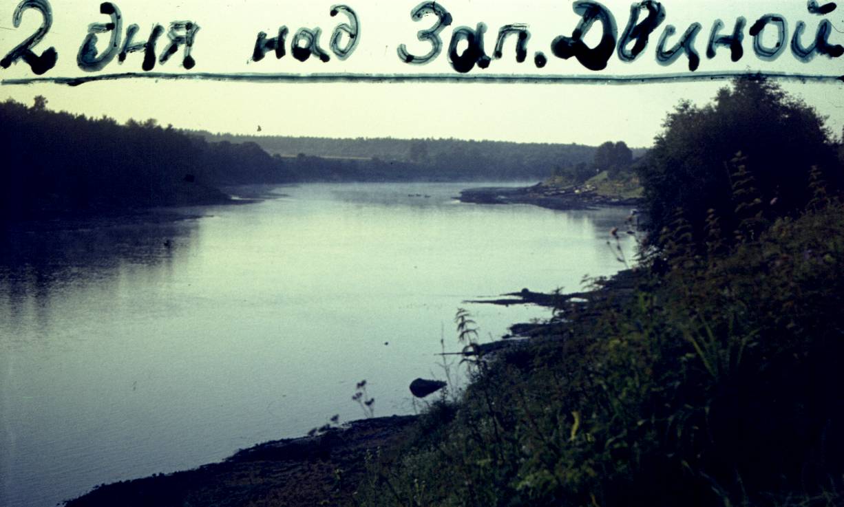 181.jpg