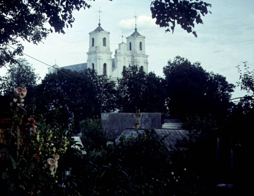 216.jpg