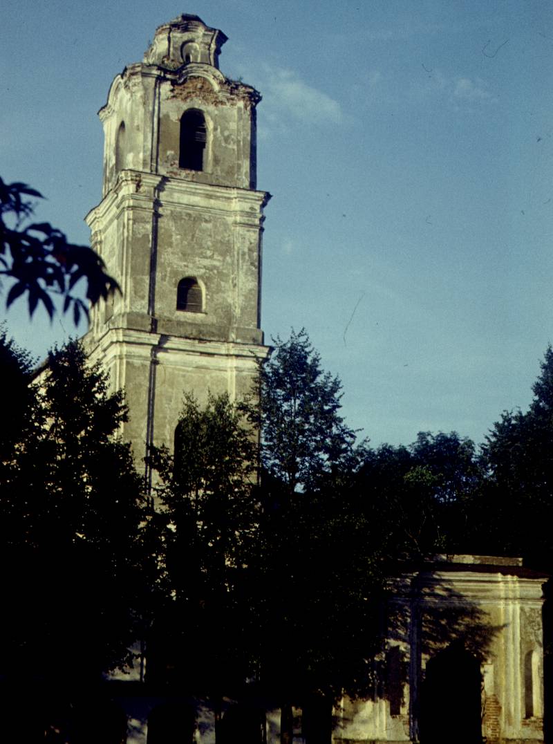 221.jpg