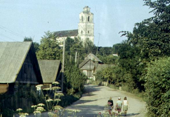 223-1.jpg