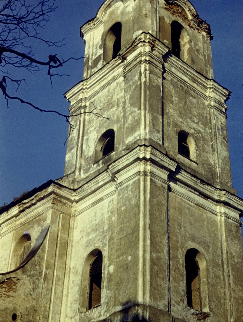 224.jpg