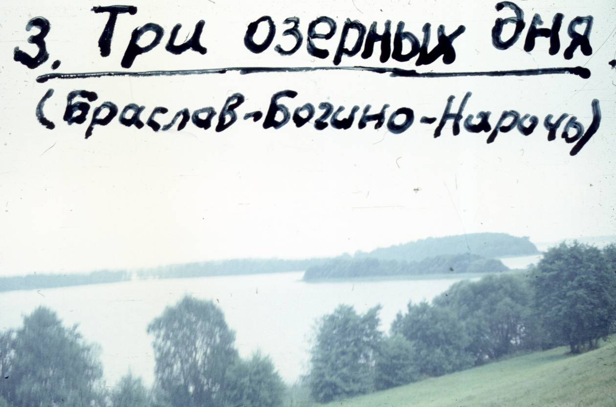233.jpg