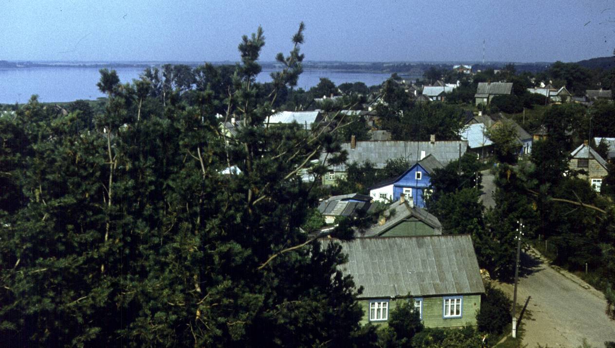 237.jpg
