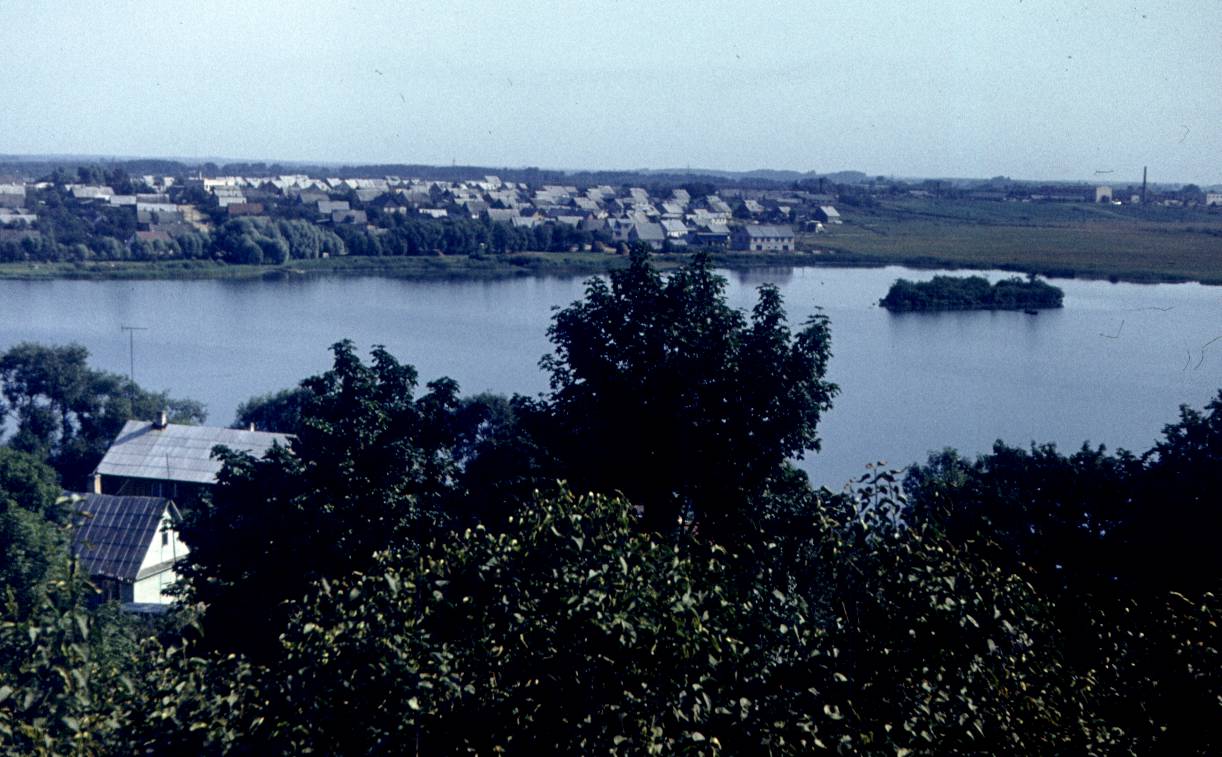238.jpg