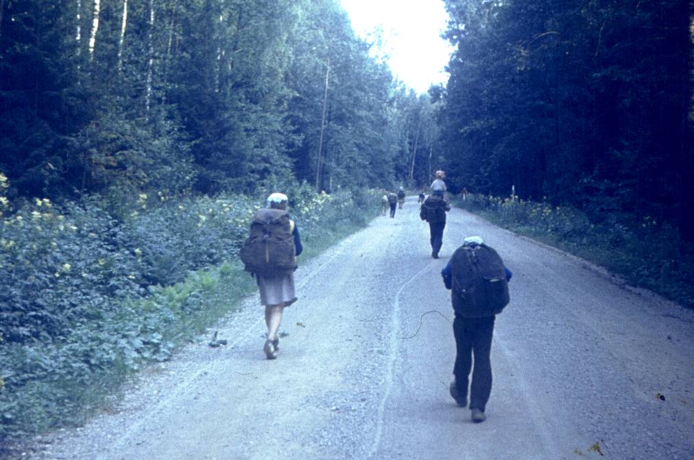 265-1.jpg