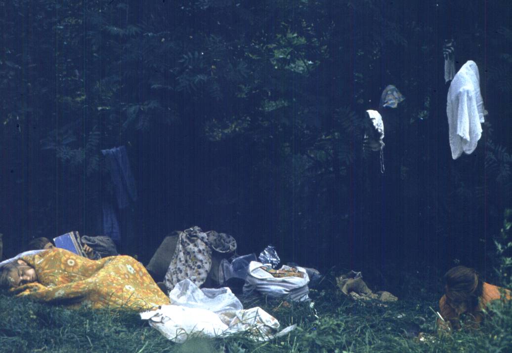 303.jpg