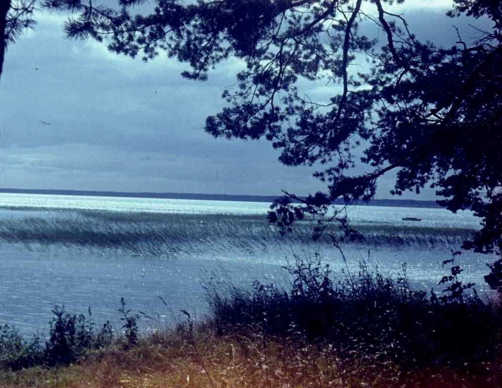 310.jpg