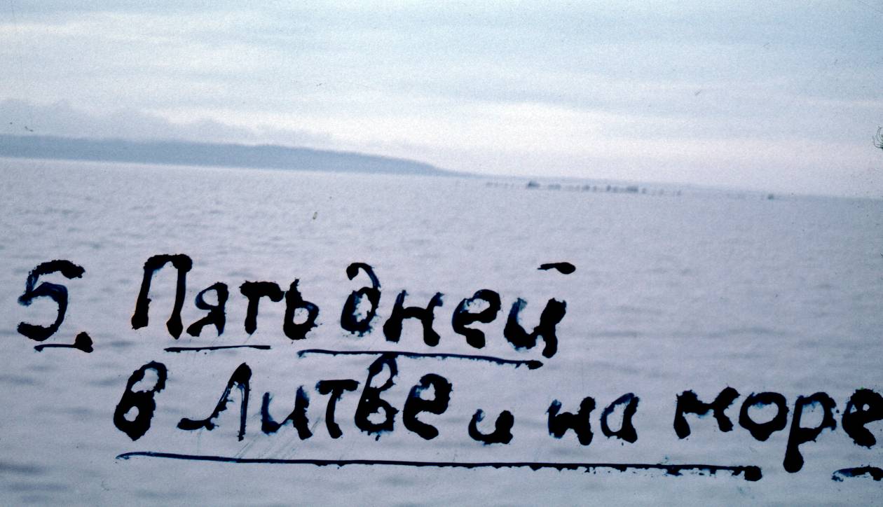 358.jpg