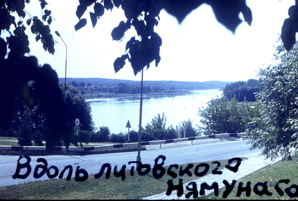 359.jpg