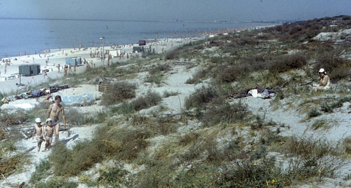 387.jpg