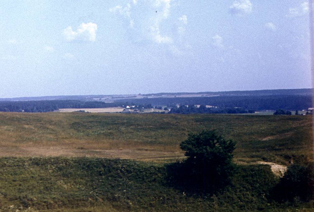 005.jpg