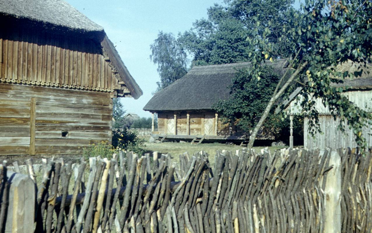 032.jpg