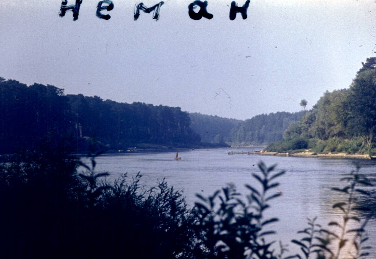 130.jpg