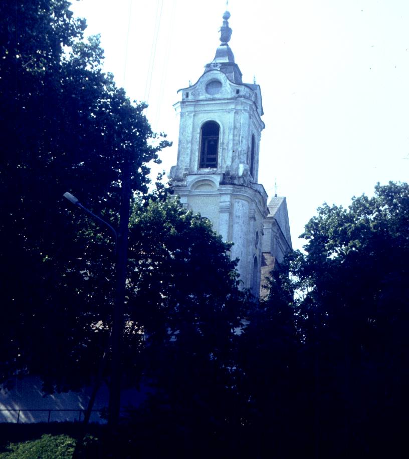 154.jpg