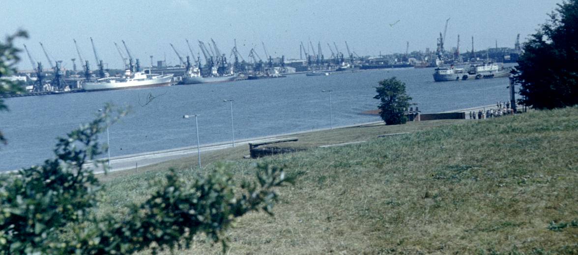 176.jpg