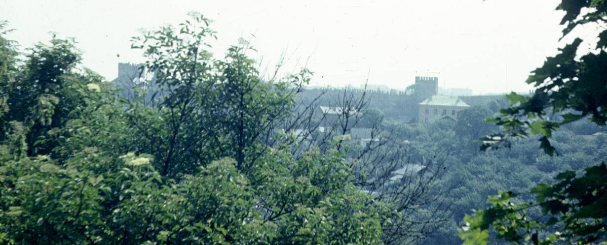287-1.jpg
