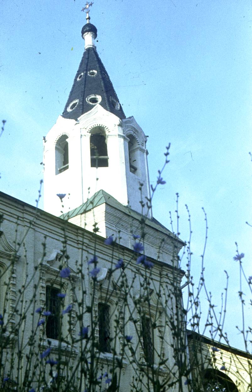 295.jpg