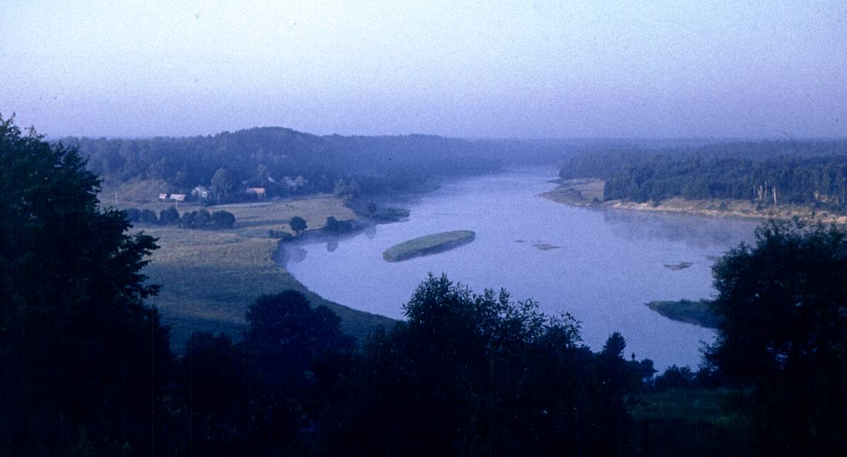 199.jpg