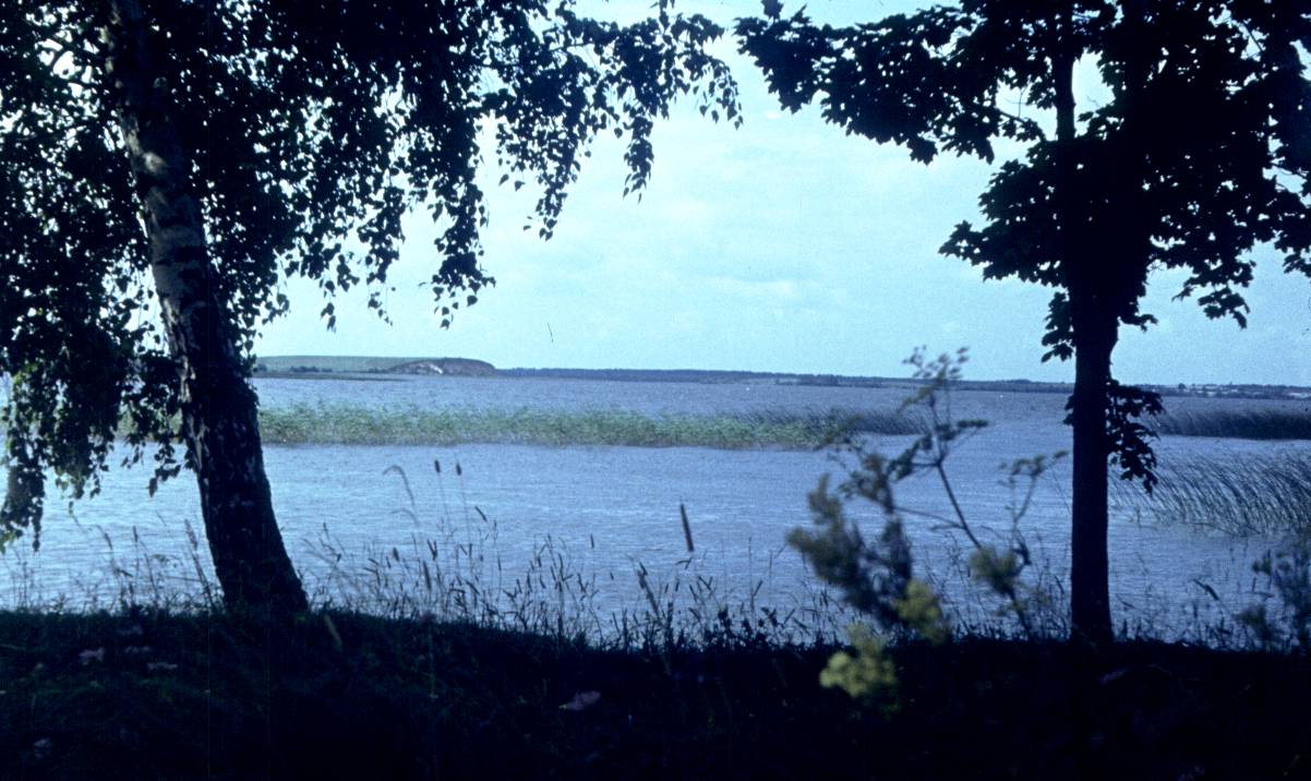 230.jpg