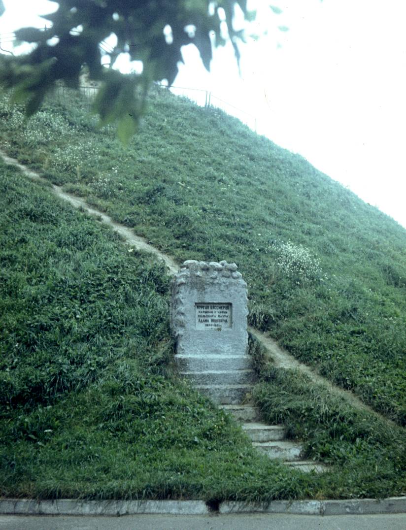 254.jpg