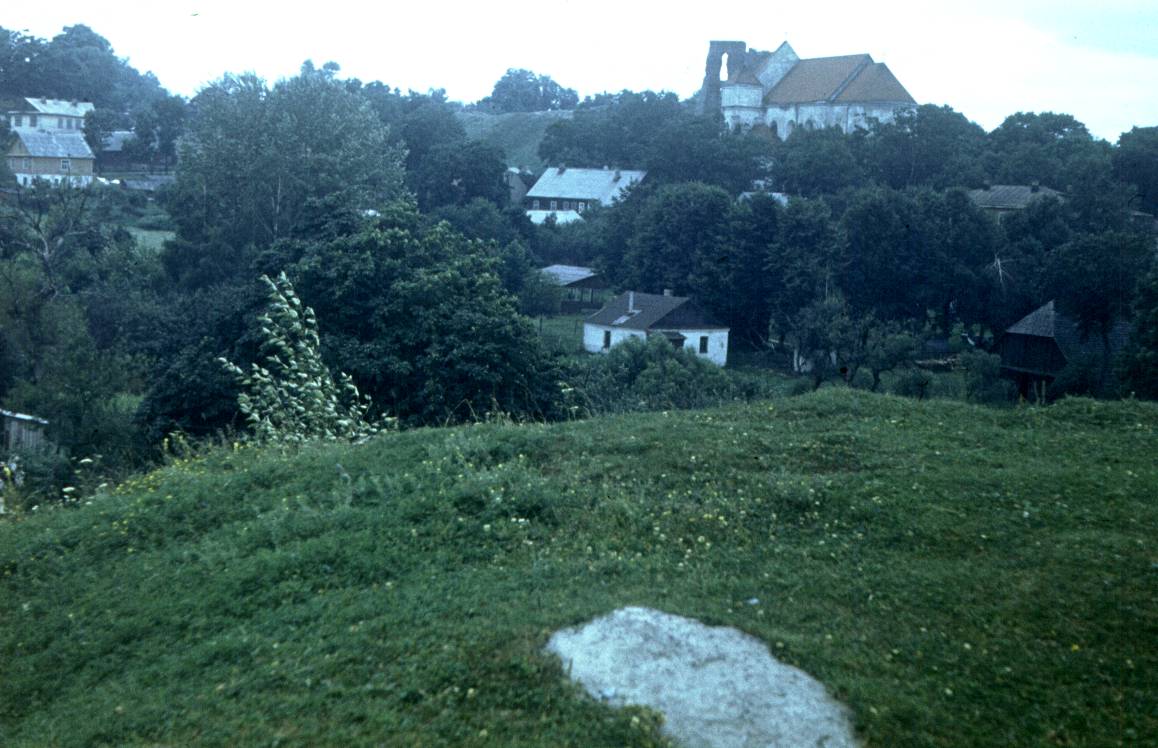 262.jpg