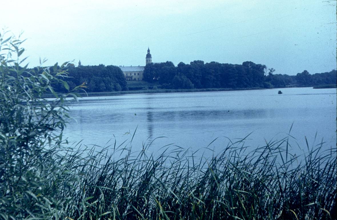 285.jpg