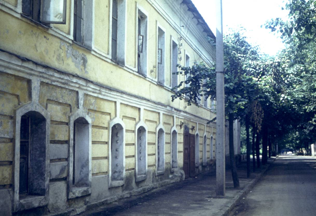 336.jpg