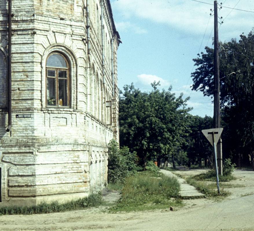 351.jpg