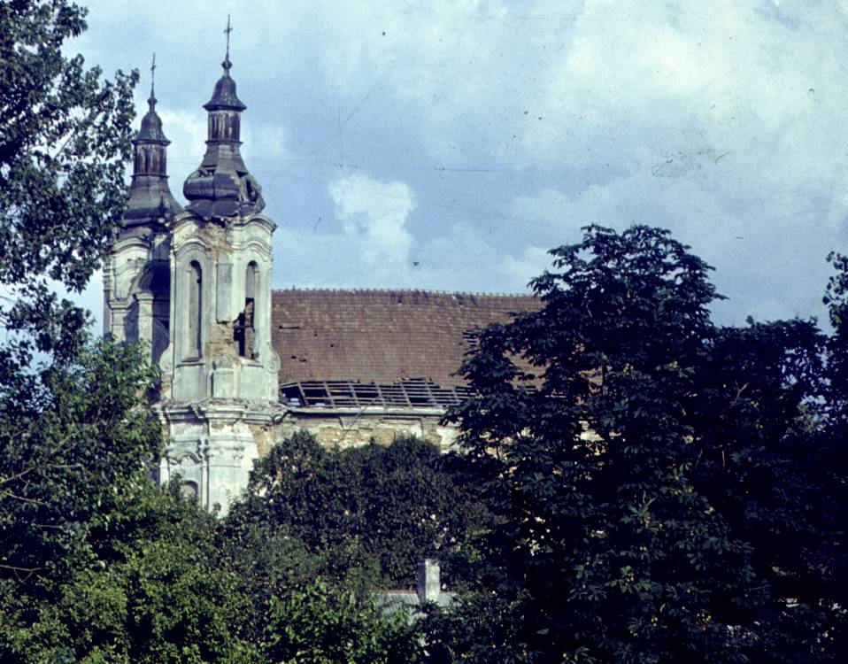 379.jpg