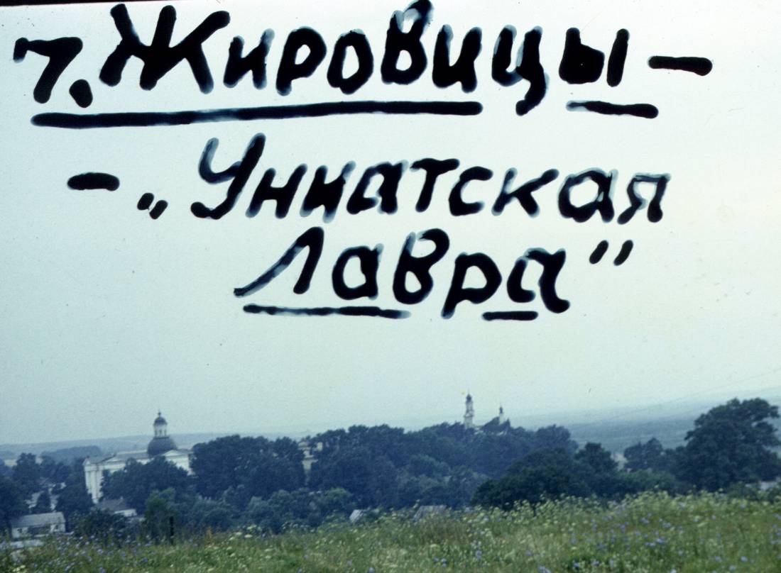 390.jpg