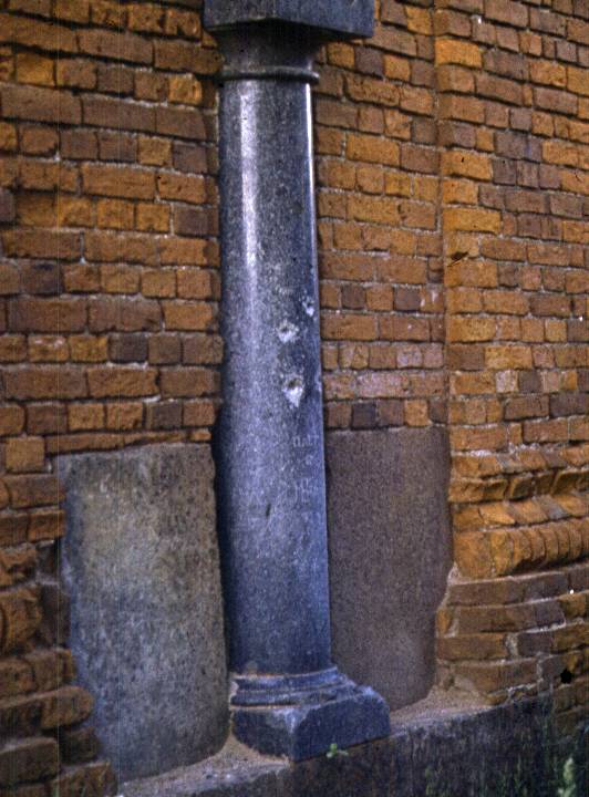 419.jpg