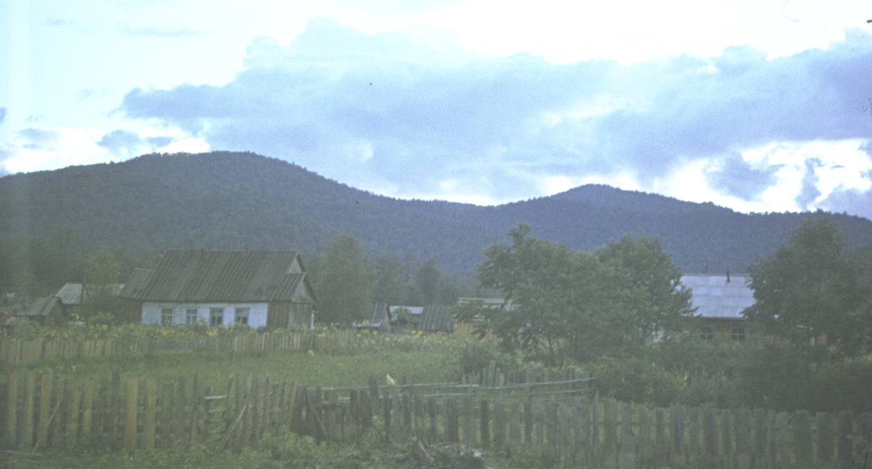 100.jpg