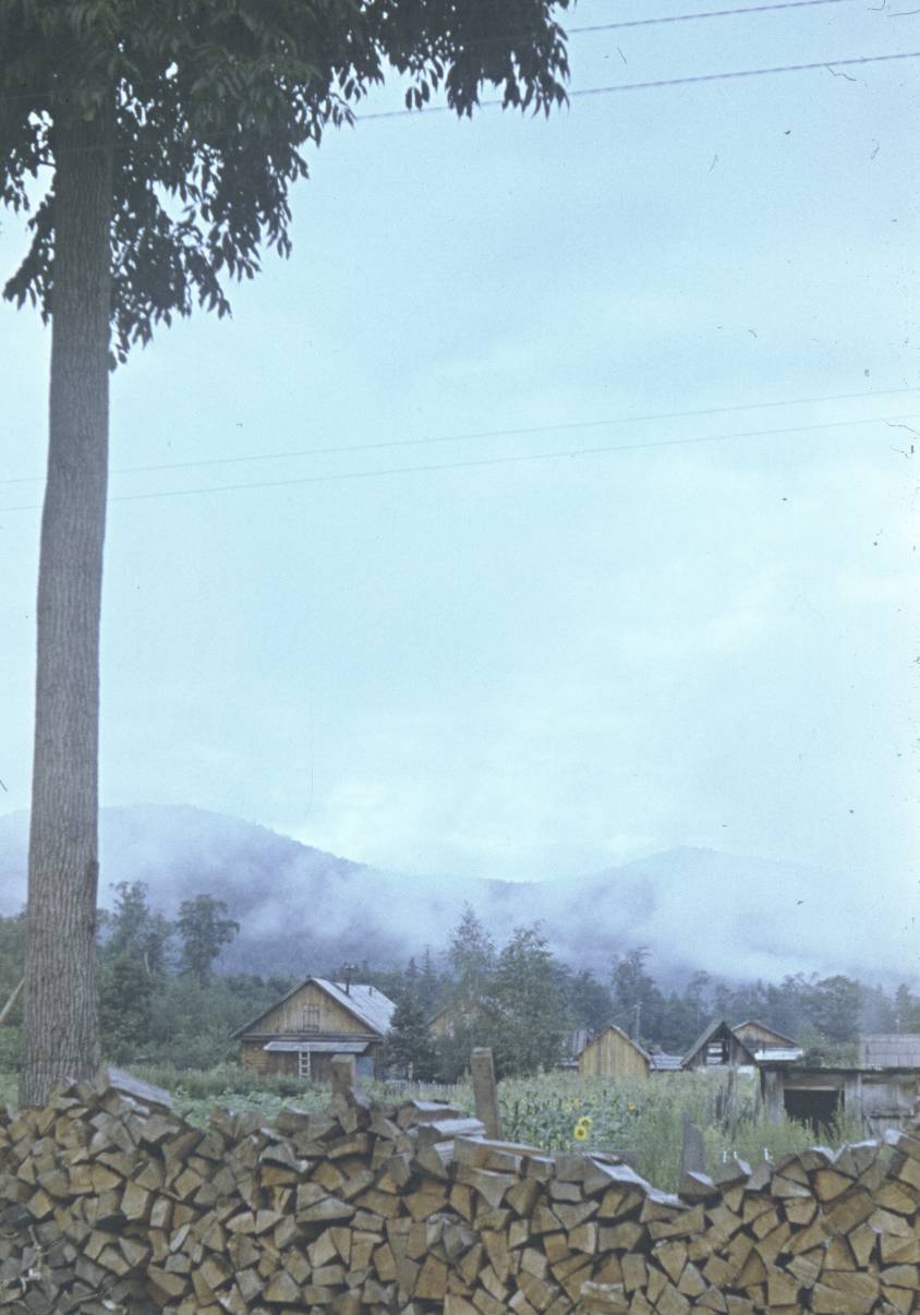 105.jpg
