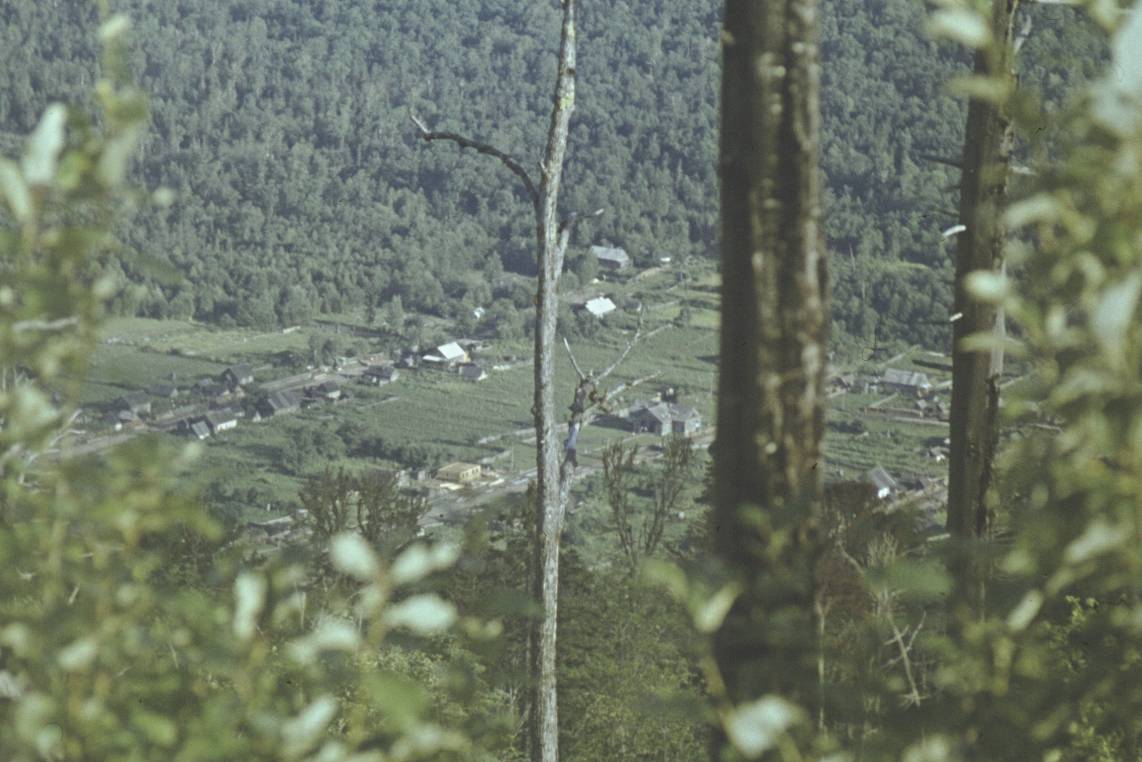 133.jpg
