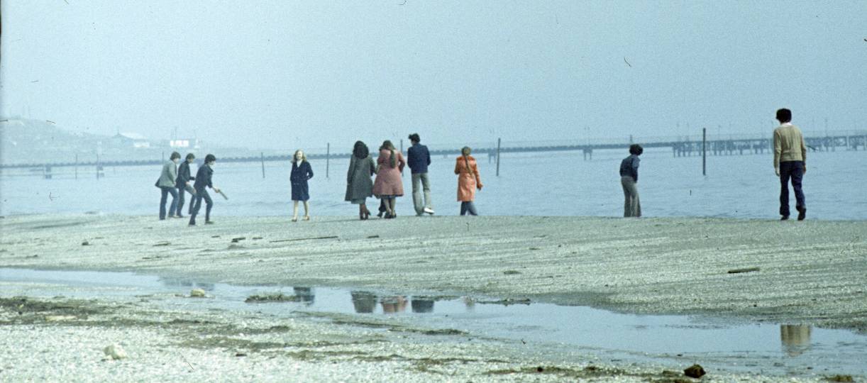 017.JPG