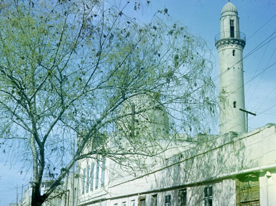 033.JPG