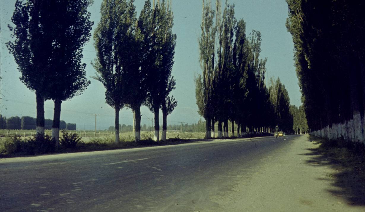 110.JPG