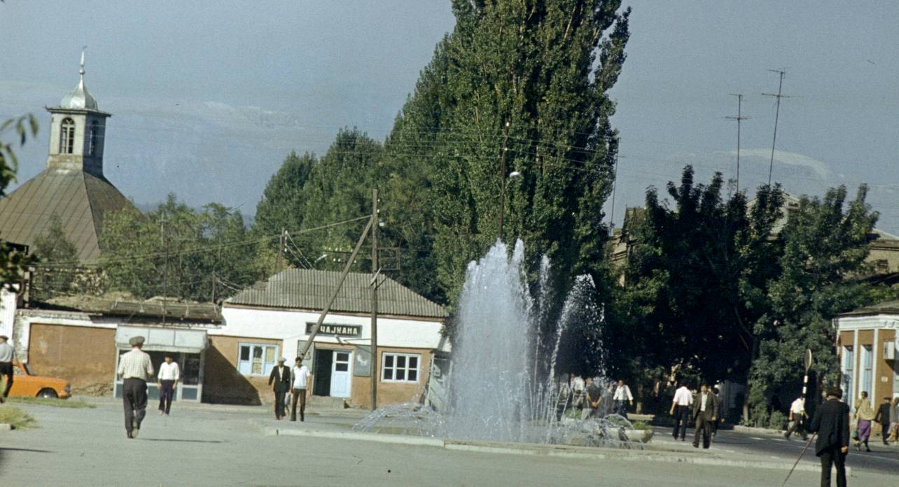 113.JPG