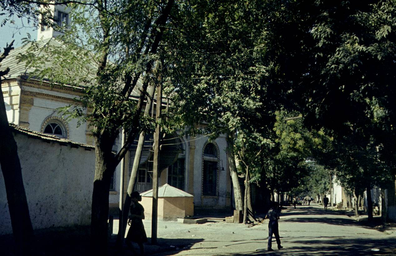 119.JPG