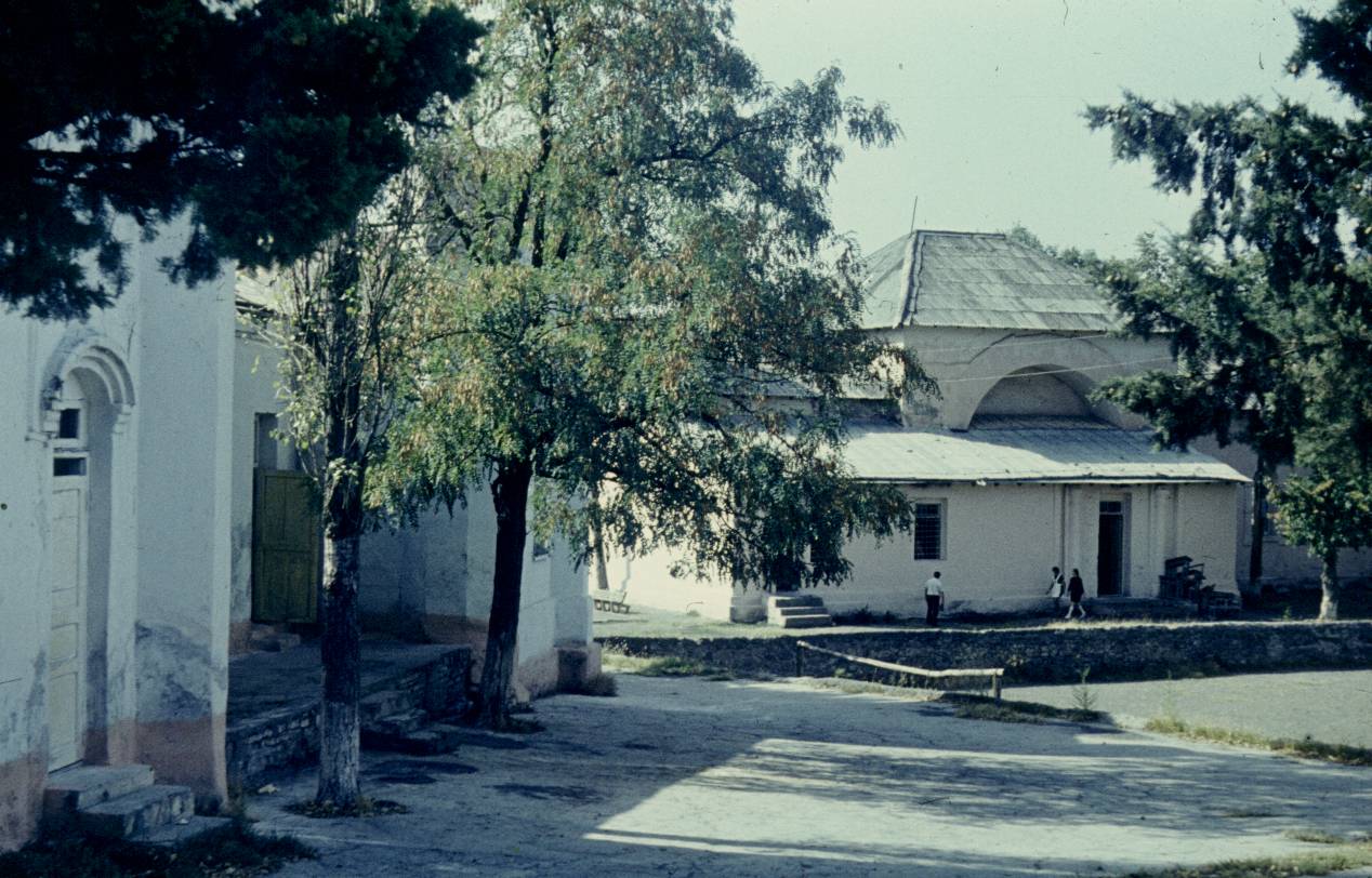 173.JPG