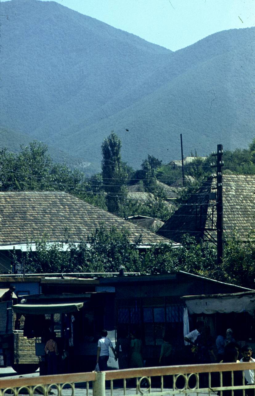 175.JPG