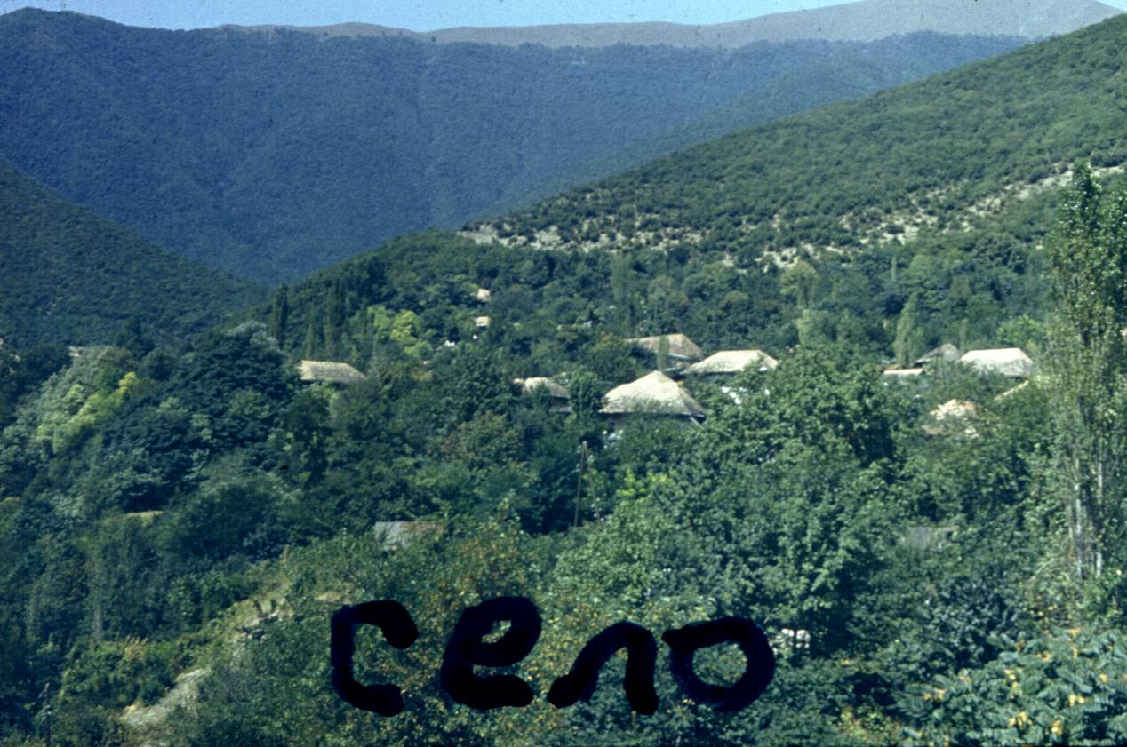 179.jpg