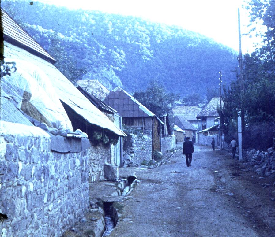 183.JPG
