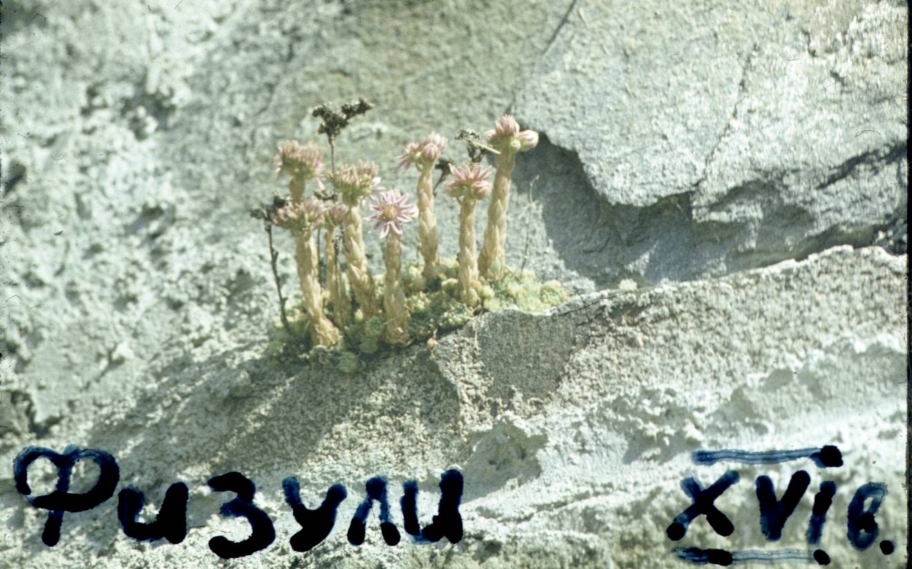 186.JPG