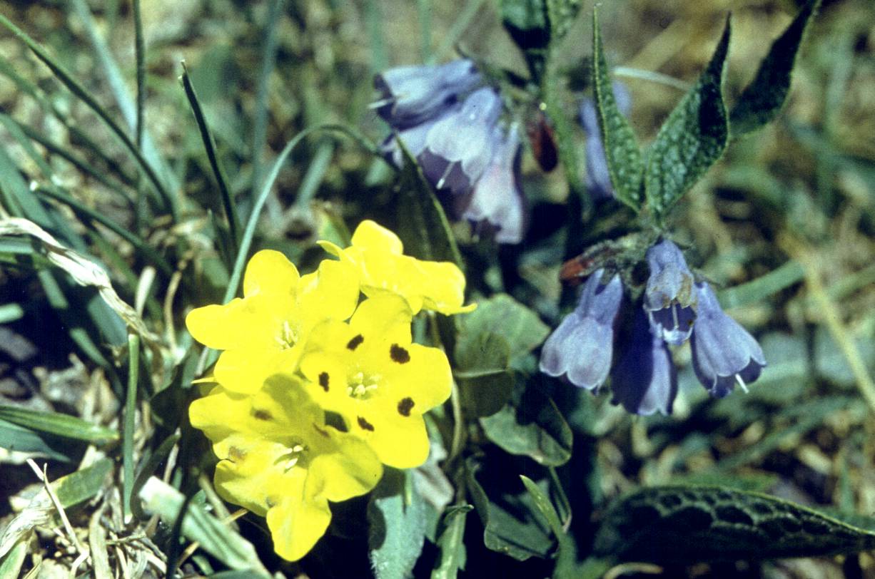 192.JPG