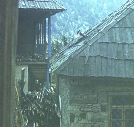 071-1.JPG