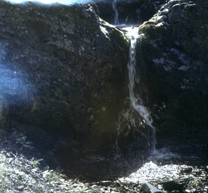 105.JPG