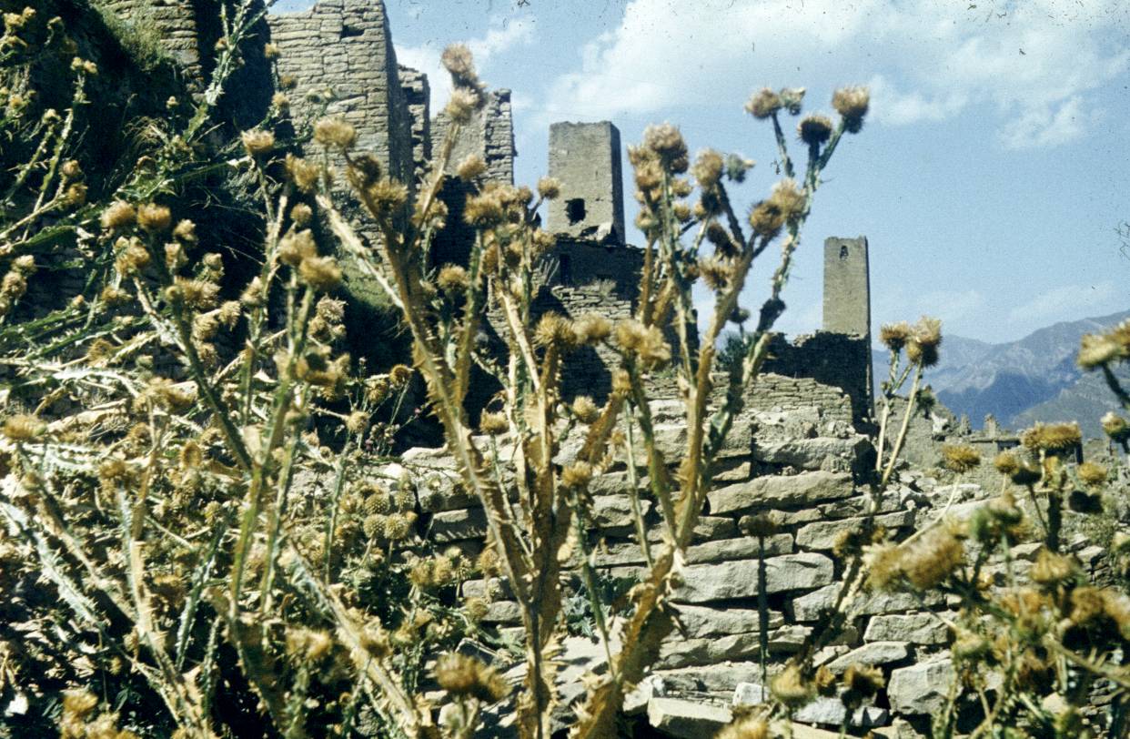 119.JPG