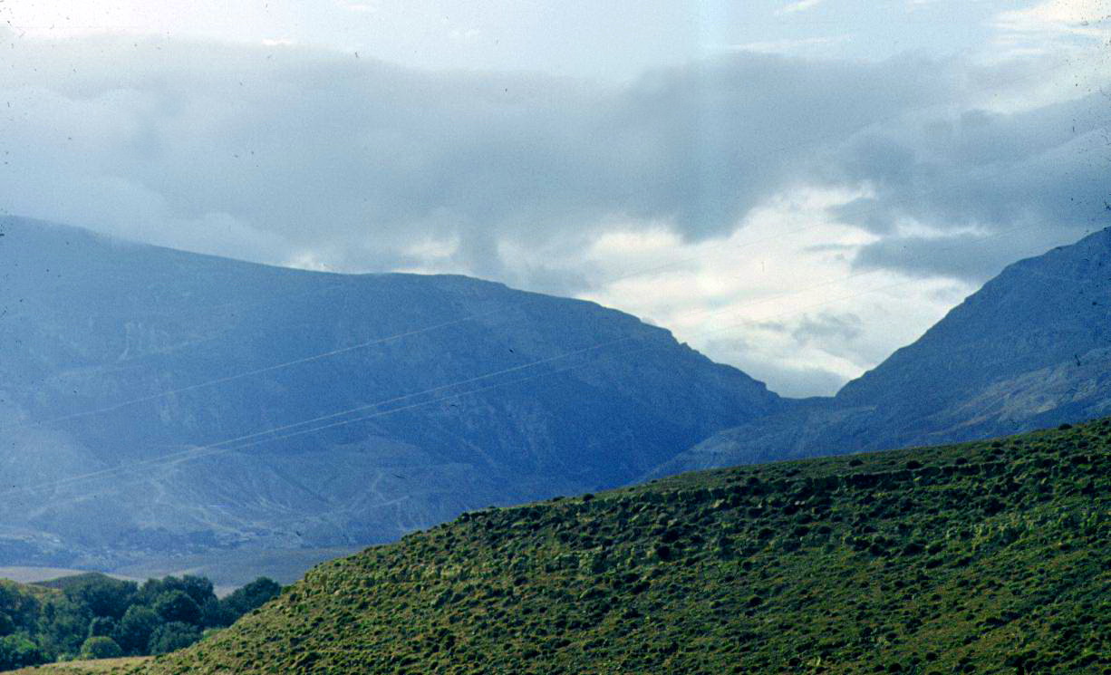 138.jpg