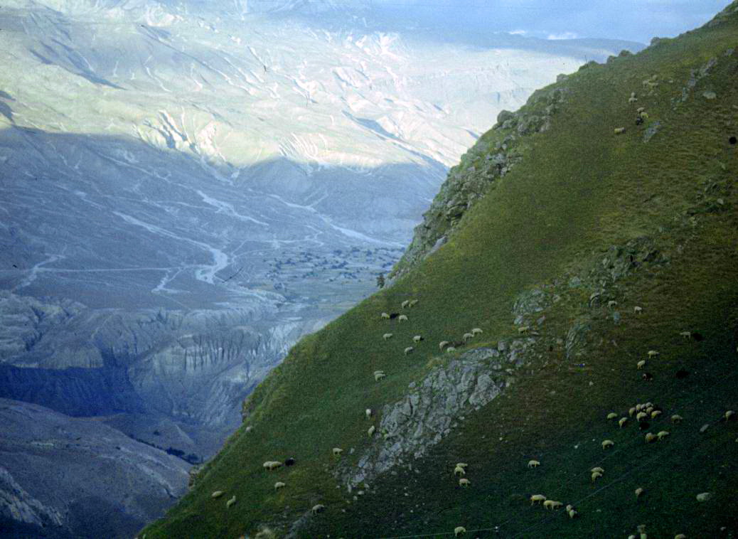 155.jpg